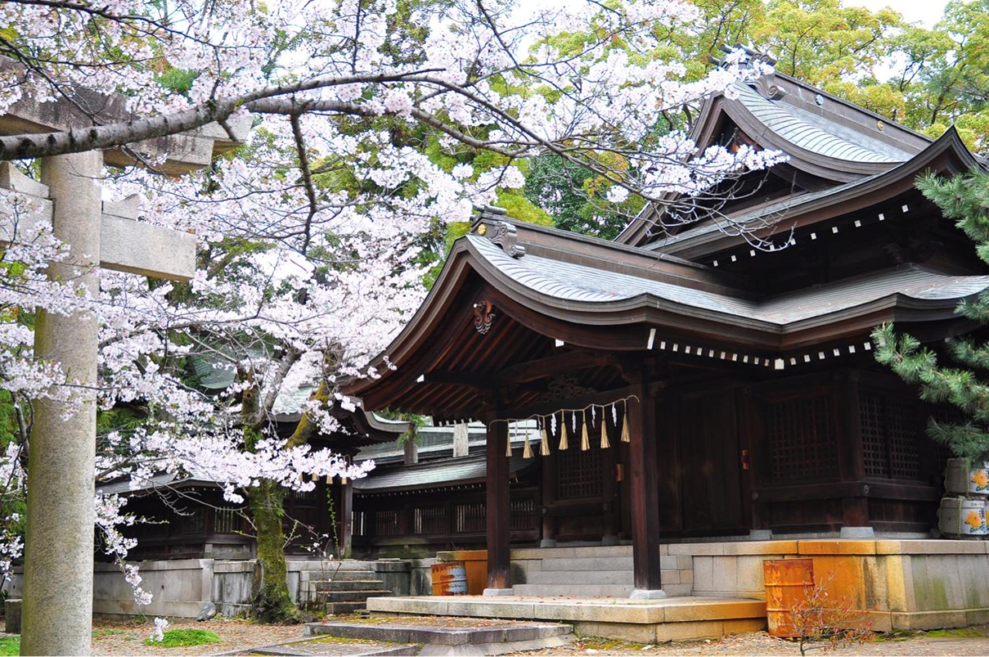 Villa Wholehouse Himeji ホールハウス 姫路 Exterior foto