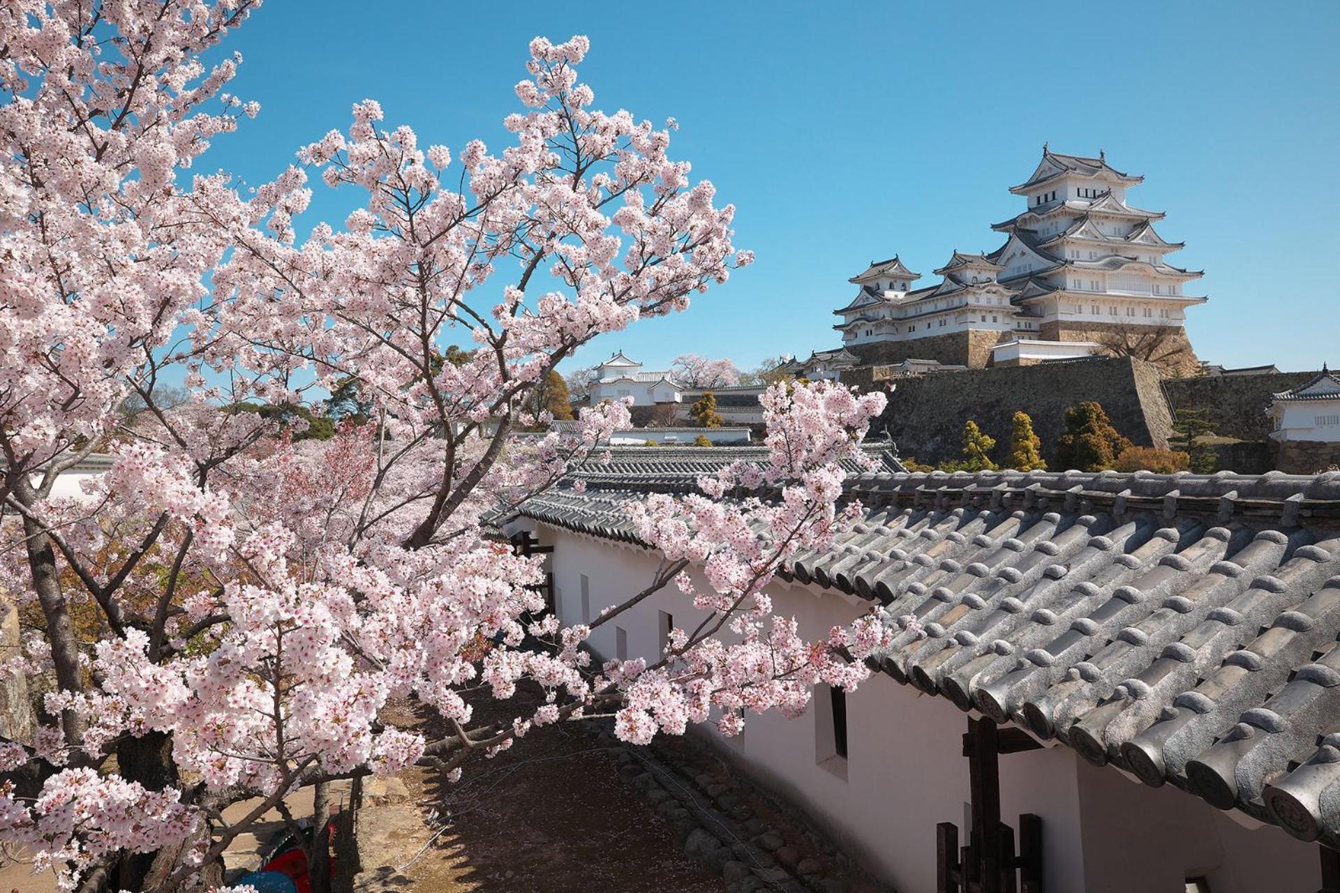 Villa Wholehouse Himeji ホールハウス 姫路 Exterior foto